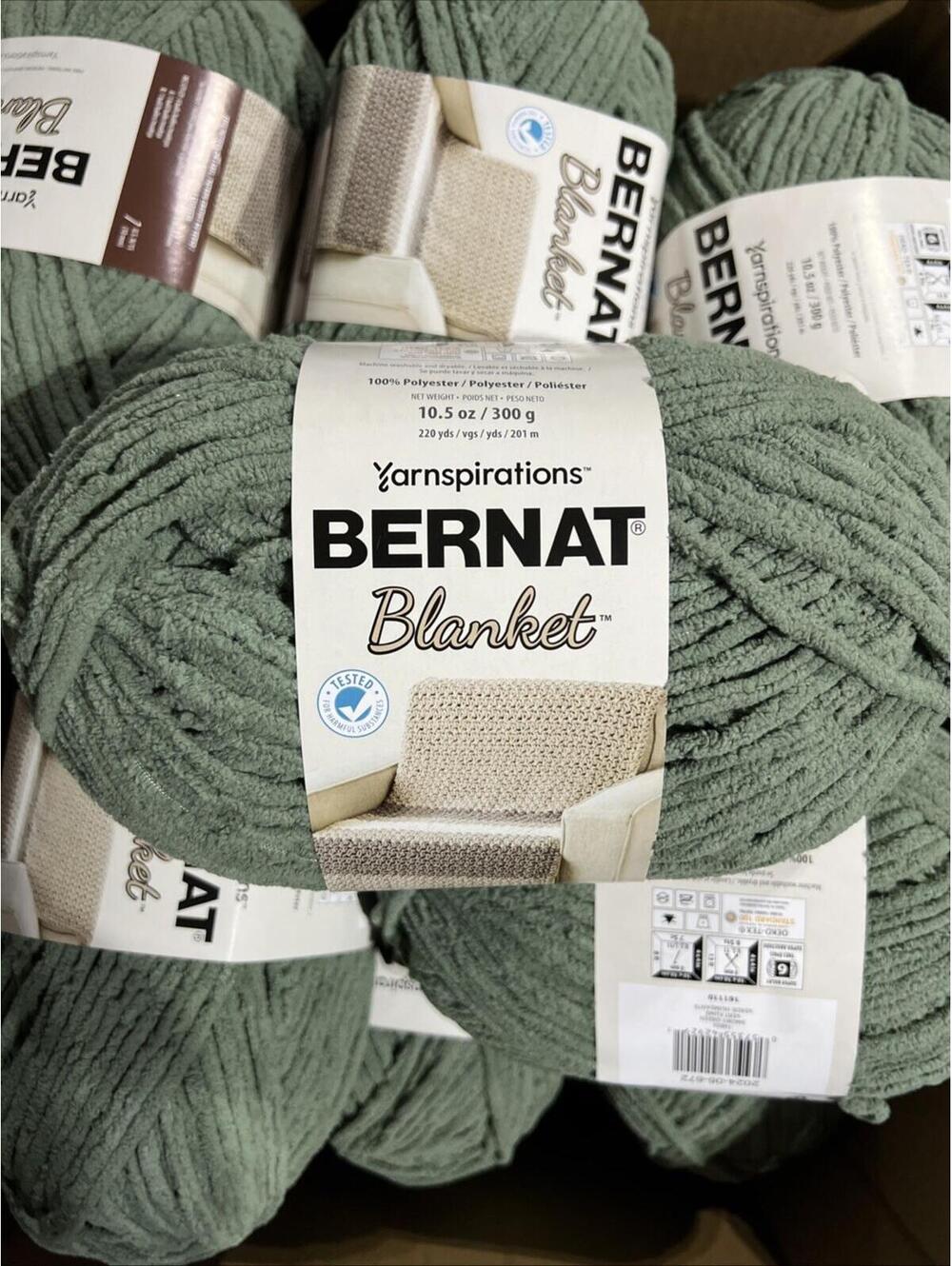 2 skeins BLANKET Yarn Bernat  SMOKY GREEN #161110 - Beautiful Color